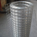 Powder Coat Welded Wire Mesh For Bird Cage